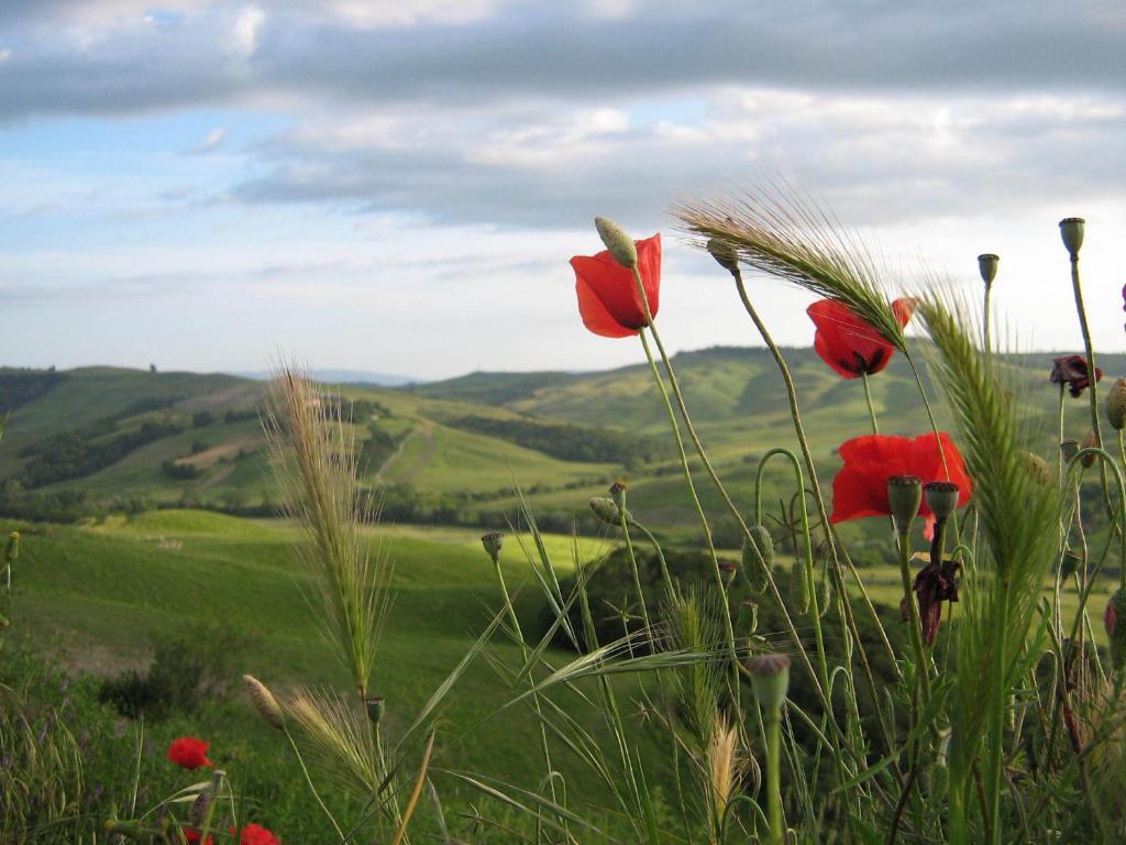 Certine Agriturismo Asciano Zewnętrze zdjęcie