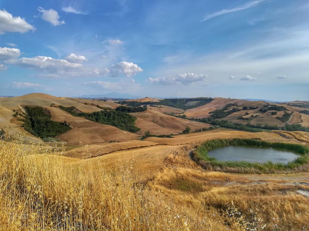 Certine Agriturismo Asciano Zewnętrze zdjęcie